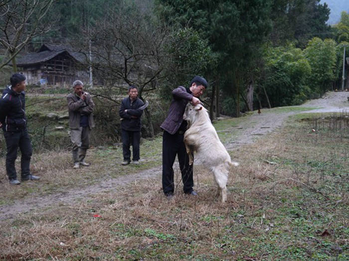 九龙地矿公司扶贫蹲点回访纪实